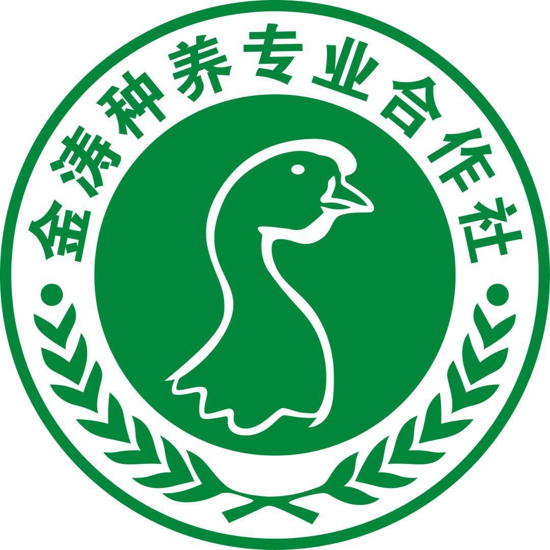 图标