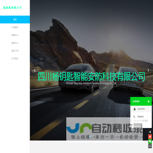 四川杨钥匙智能安防科技有限公司