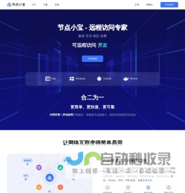 节点小宝免费远程访问工具