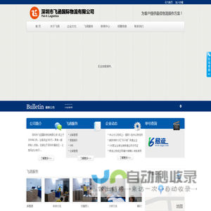 深圳市飞函国际物流有限公司