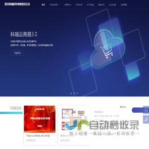 四川科瑞软件有限责任公司