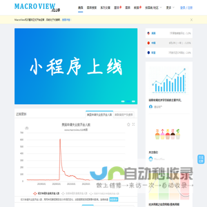 MacroView