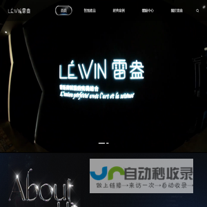 Léwin雷盎艺术智能