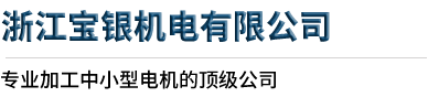 浙江宝银机电有限公司