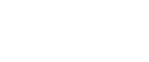 Echo·Insight