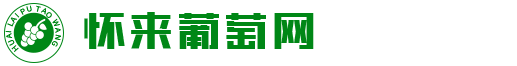 沙小提