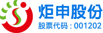 广东炬申物流股份有限公司