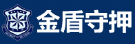 开封市金盾武装守押有限公司