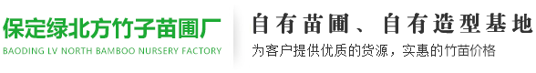 保定市满城区绿北方竹子苗木基地