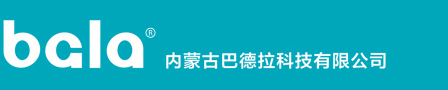 内蒙古巴德拉科技有限公司