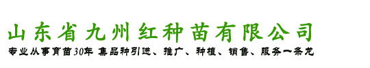 蟠桃树苗