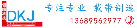 深圳市领端科技有限公司