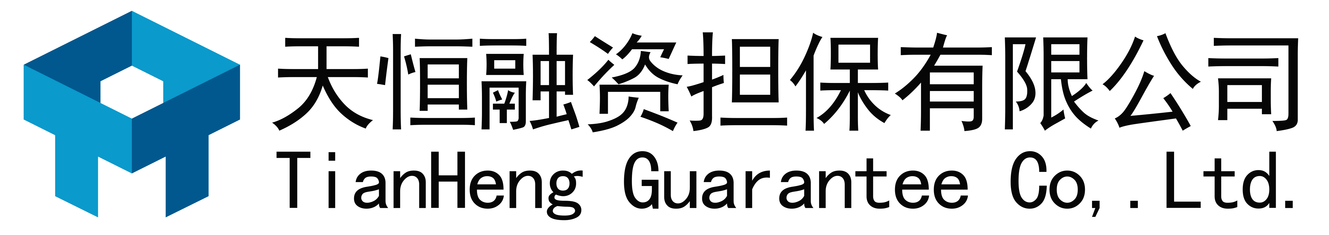 天恒融资担保有限公司