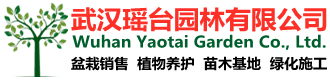 武汉瑶台园林有限公司武汉园林绿化工程的施工养护，植物销售和室内盆栽的租摆养护