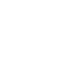 字油®